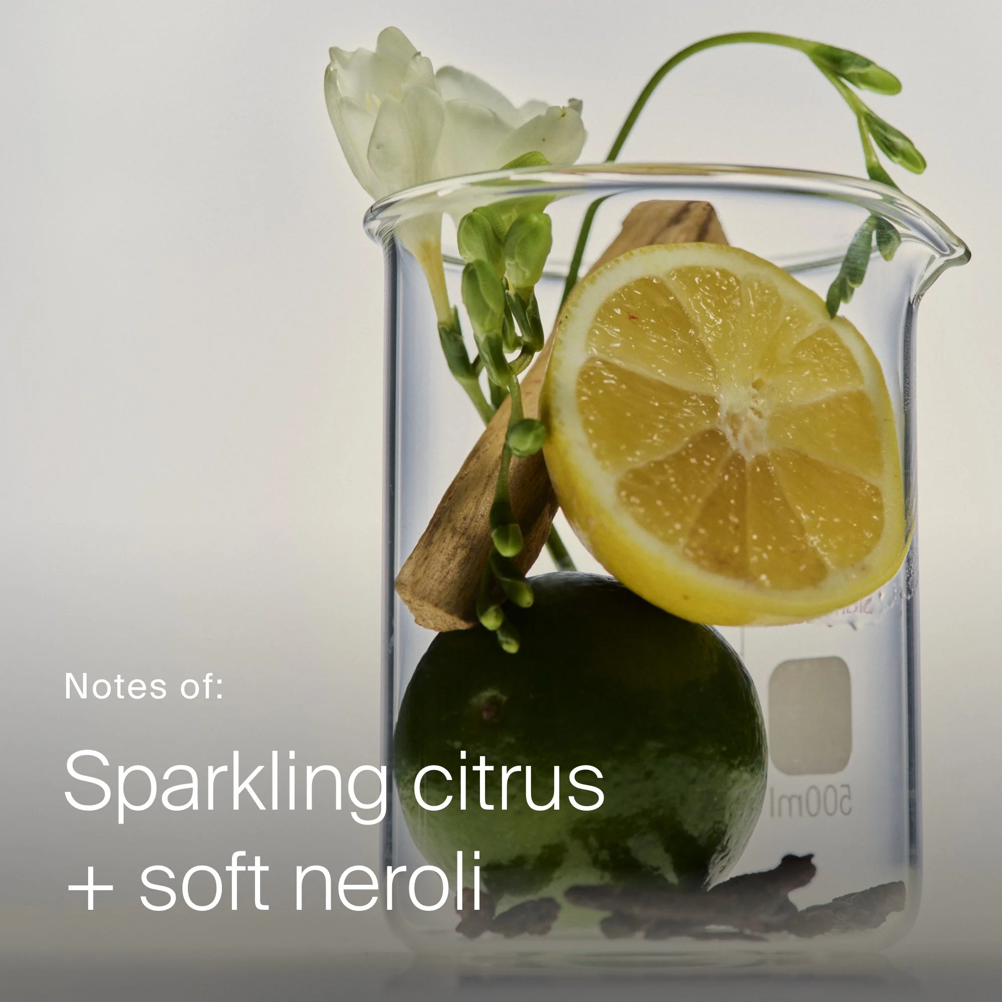 A glass pitcher containing slices of lemon, soft neroli, and sprigs of green herbs, likely for a drink or decoration, set against a white background.