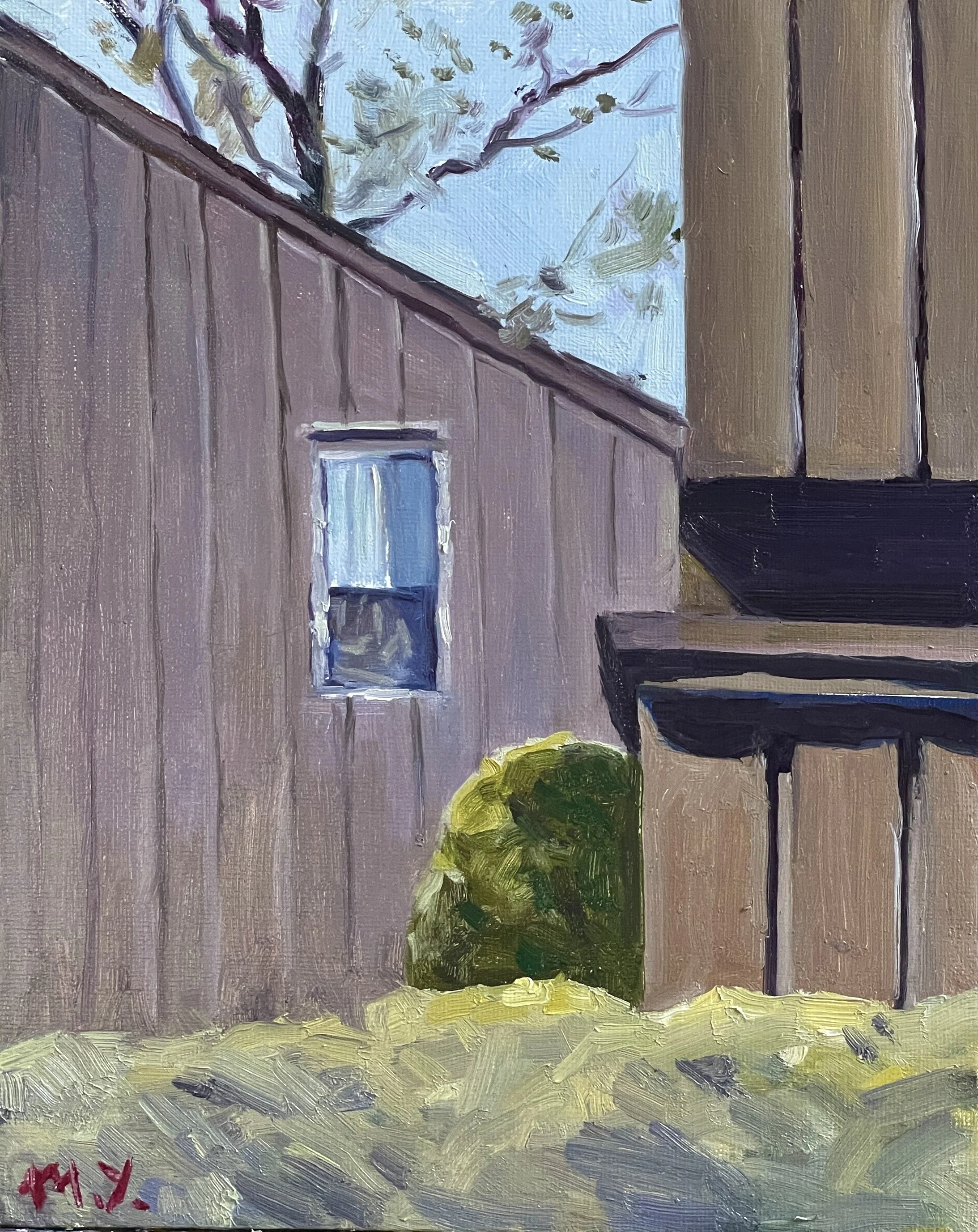 The Window
