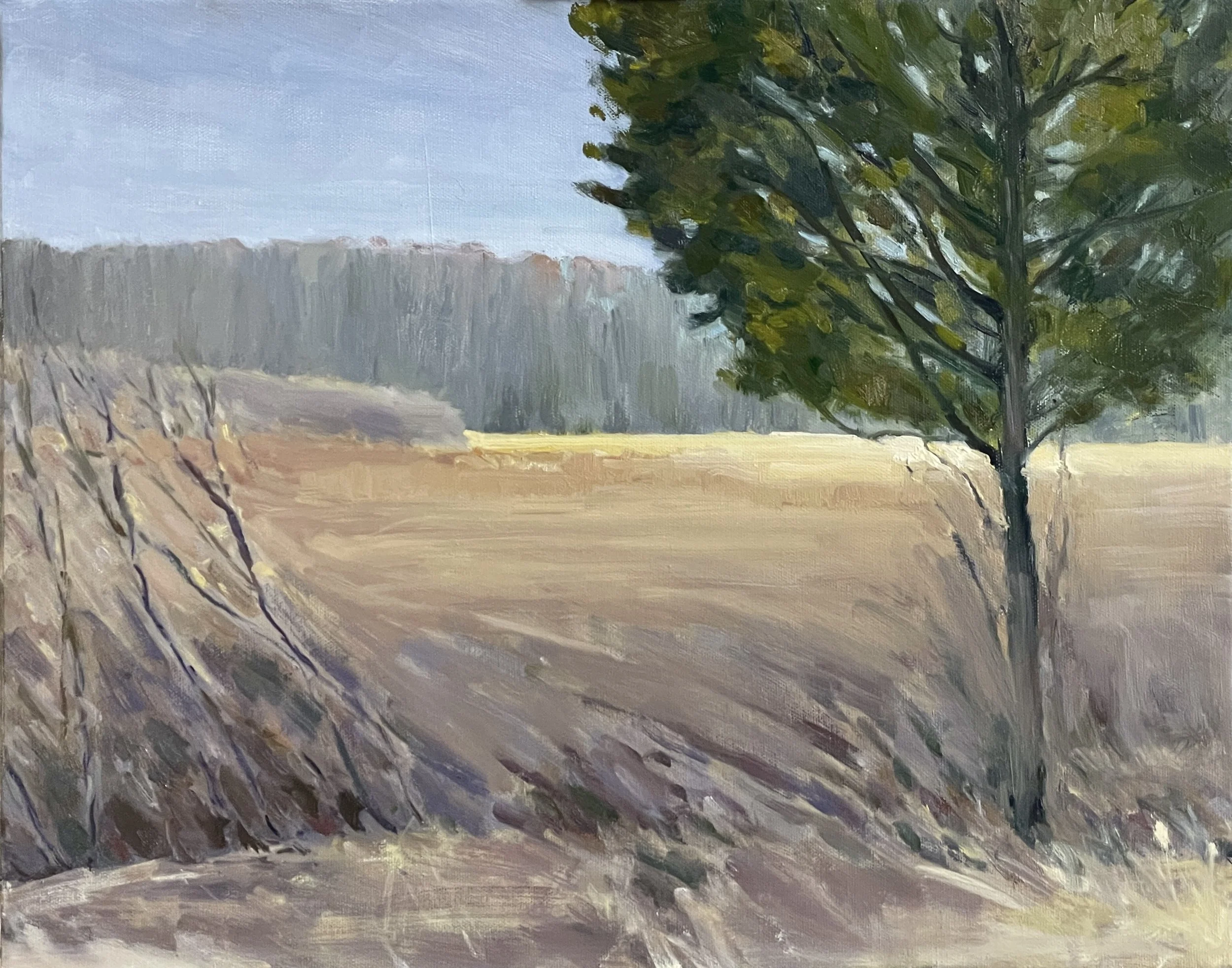 Early Spring at Pole Farm Loop