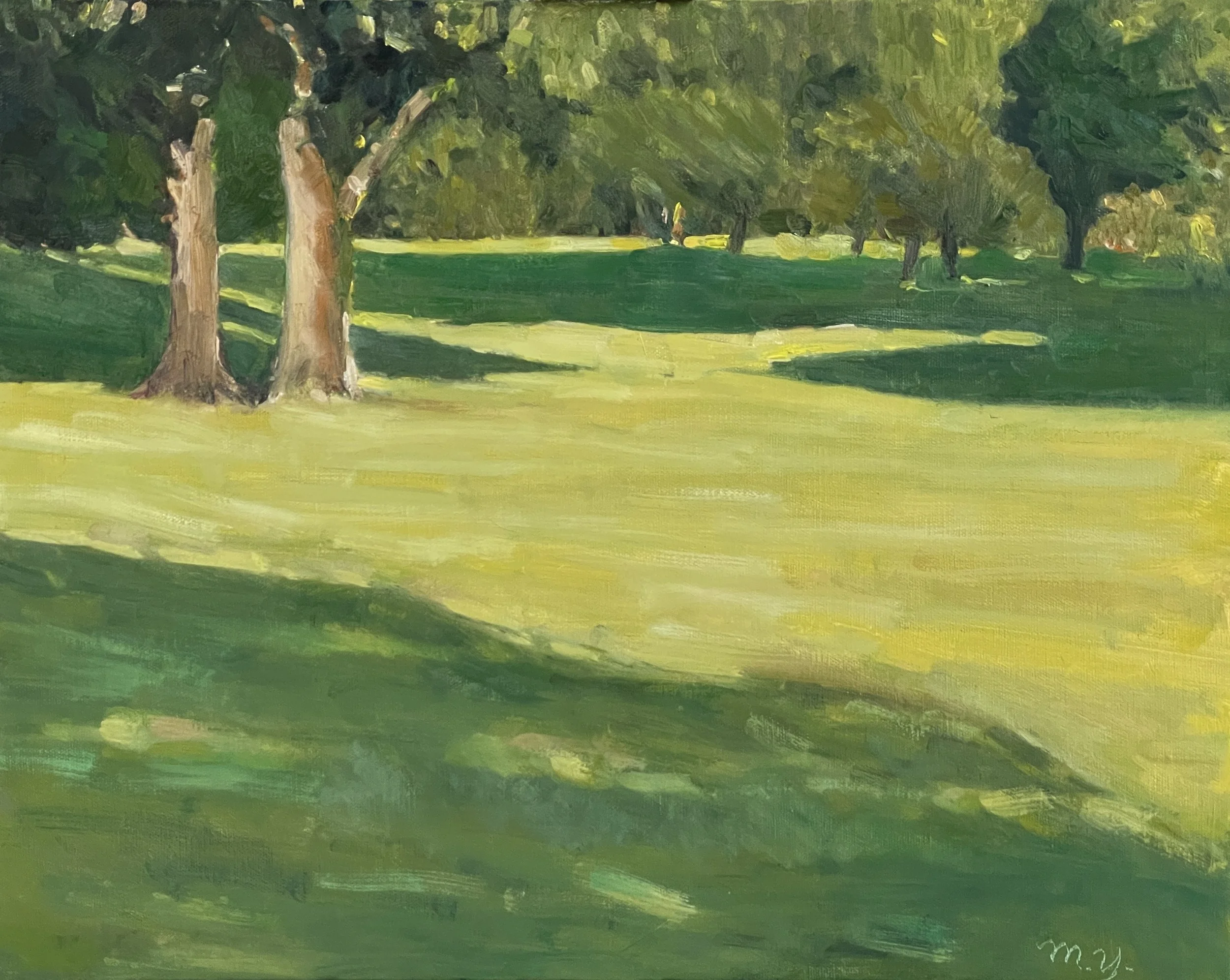 Summer at Oak Ridge Park