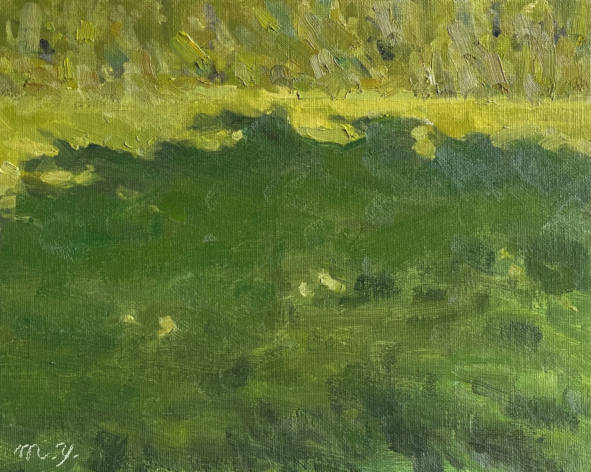 Shadow on the Grass