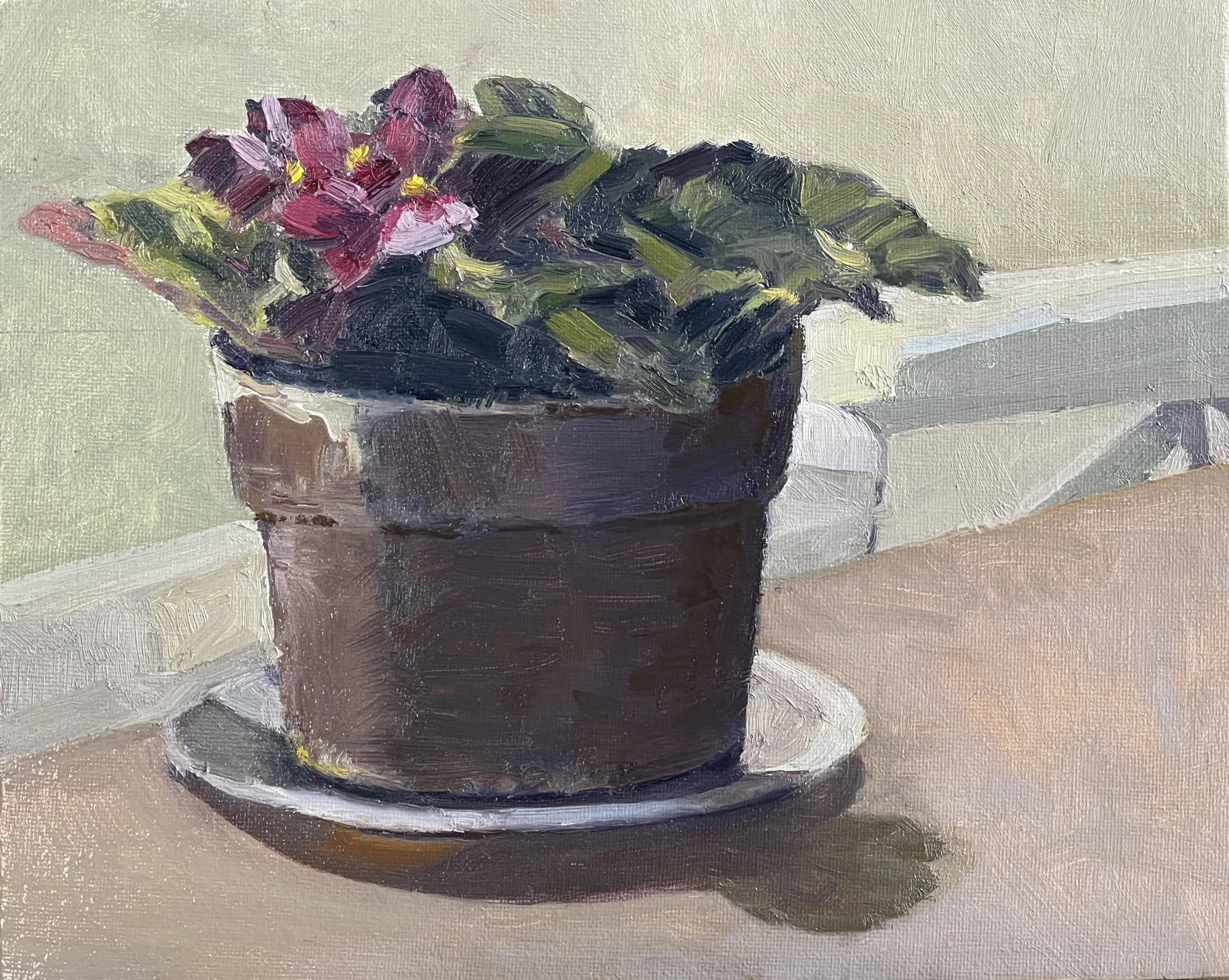 African Violets