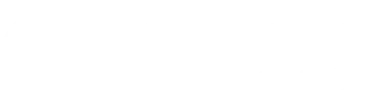 Christine Nicholson