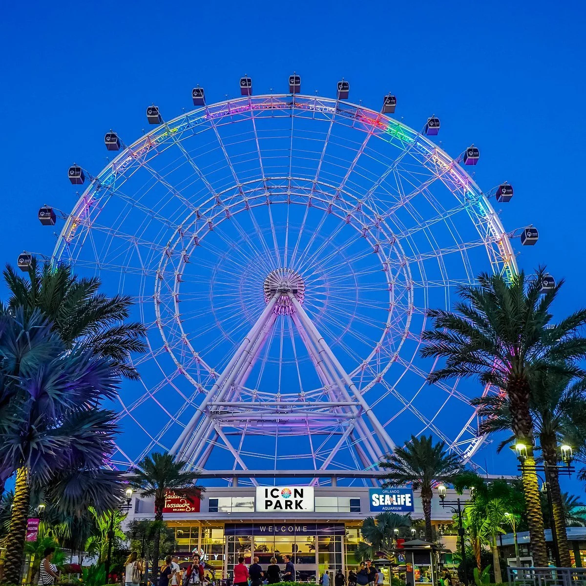 The Orlando Eye illuminated with colorful lights at ICON Park in Orlando.