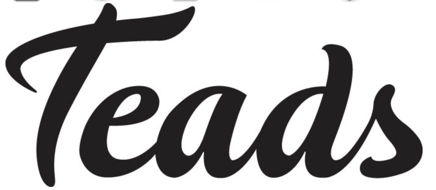 Stylized black script text spelling Teads on a white background.