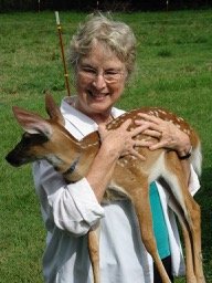 Rita Saylors