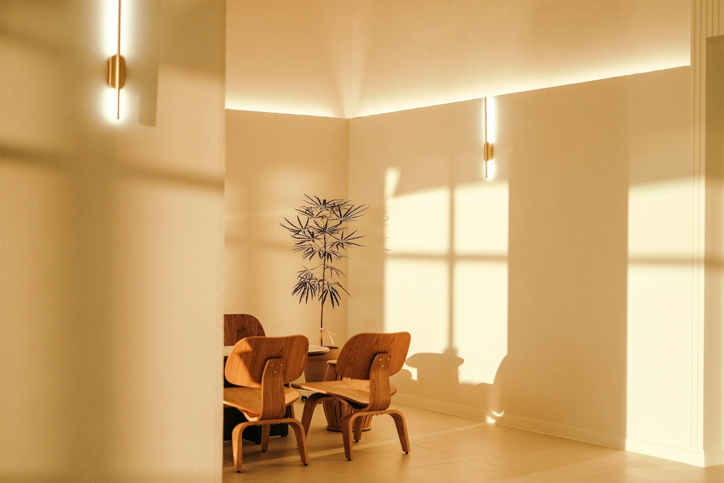 A modern dining area with wooden chairs around a table, illuminated by warm wall lighting and sunlight casting shadows on the walls, with a potted plant in the background.