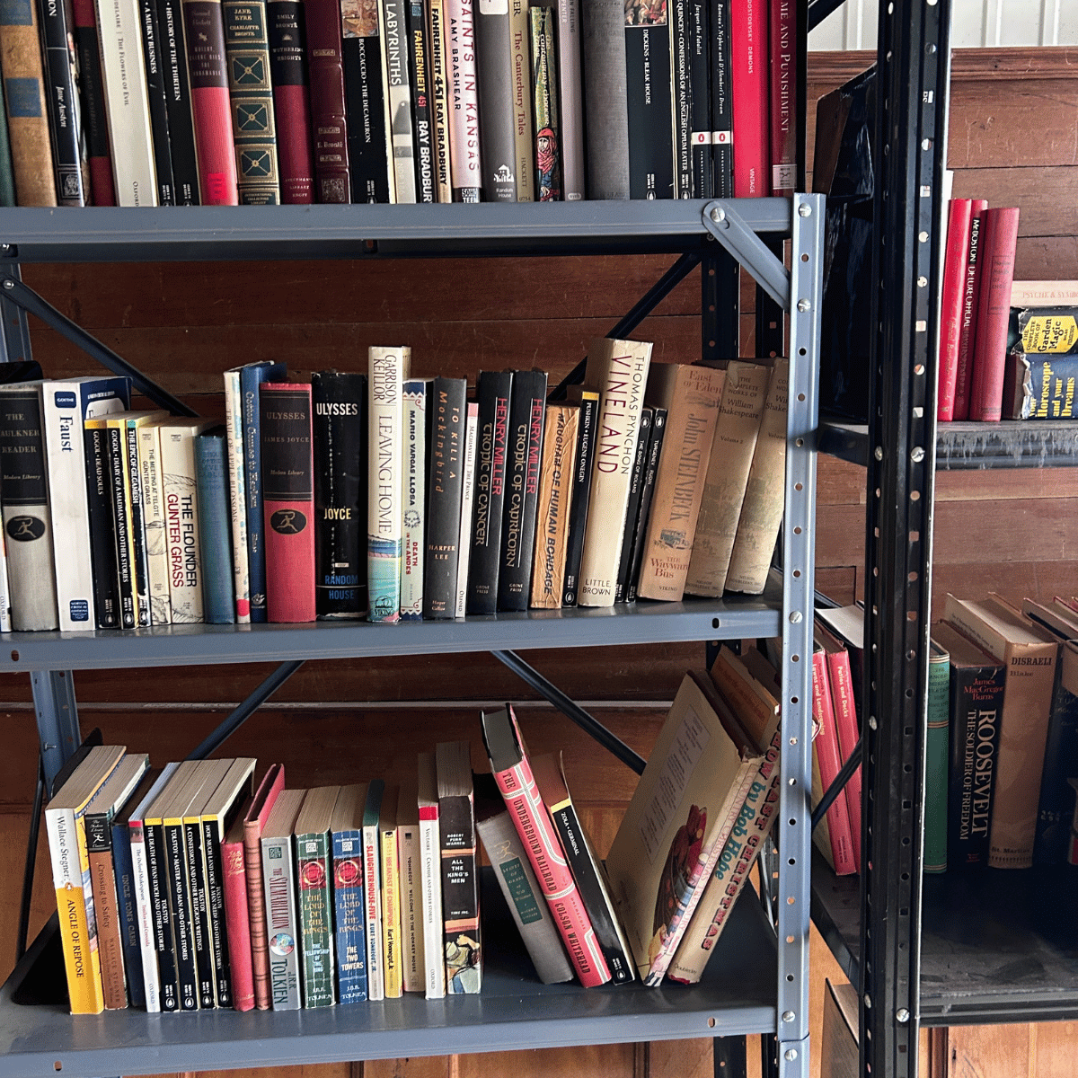 Bookshelf with various books on multiple shelves, wooden wall in the background.