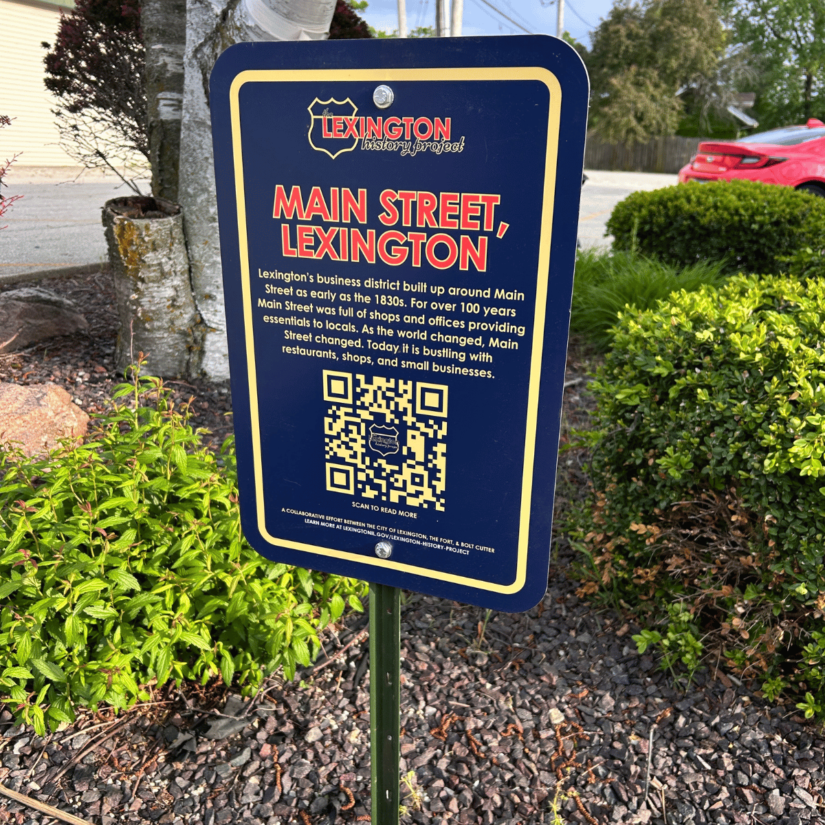 Sign describing Lexington's Main Street history and recent updates, featuring a QR code for more information, surrounded by small shrubs and a tree, with parked cars and residential houses in the background.