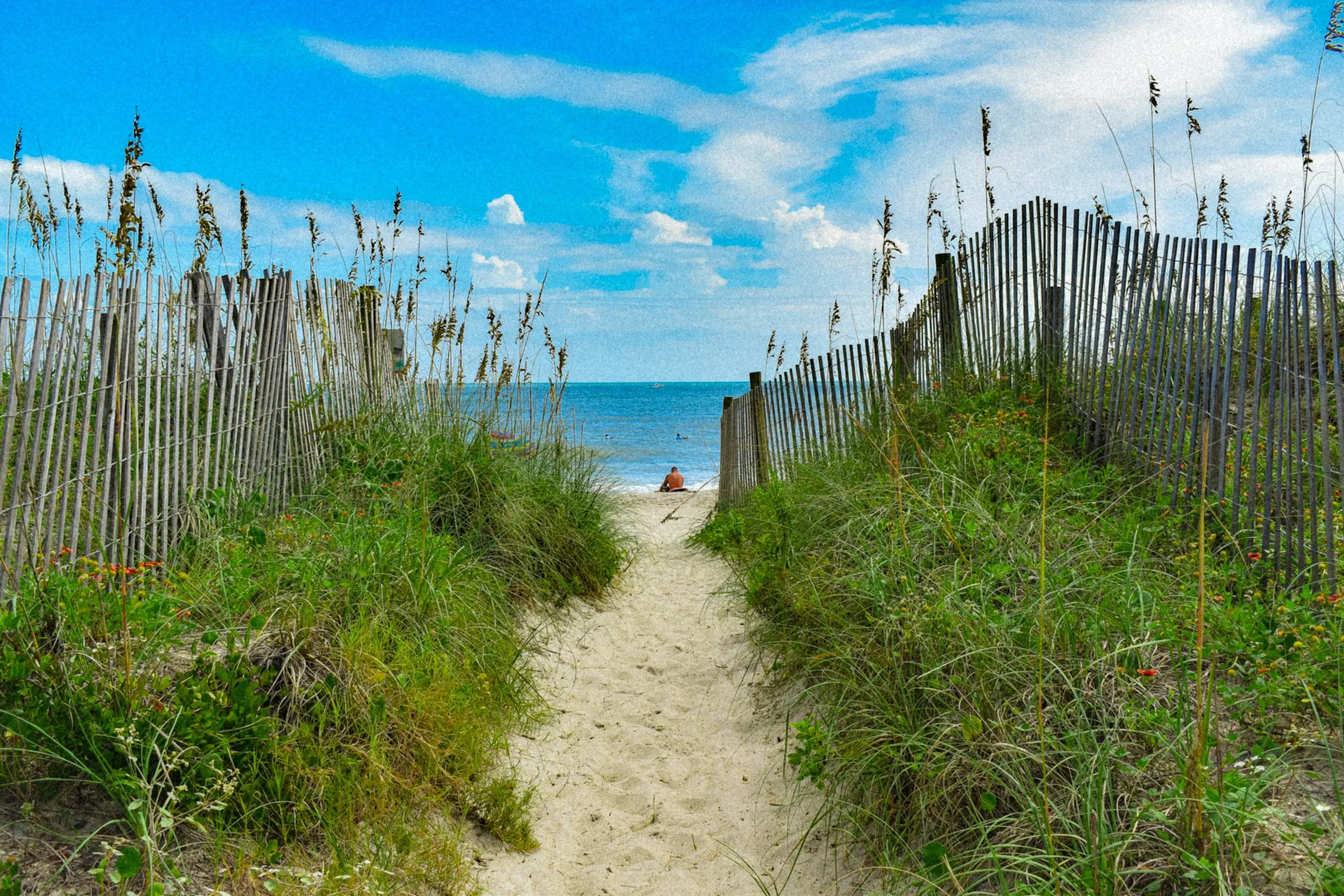 A sandy beach path bordered by tall grasses and wooden fences leading to the ocean with waves and a person sitting on the sand.