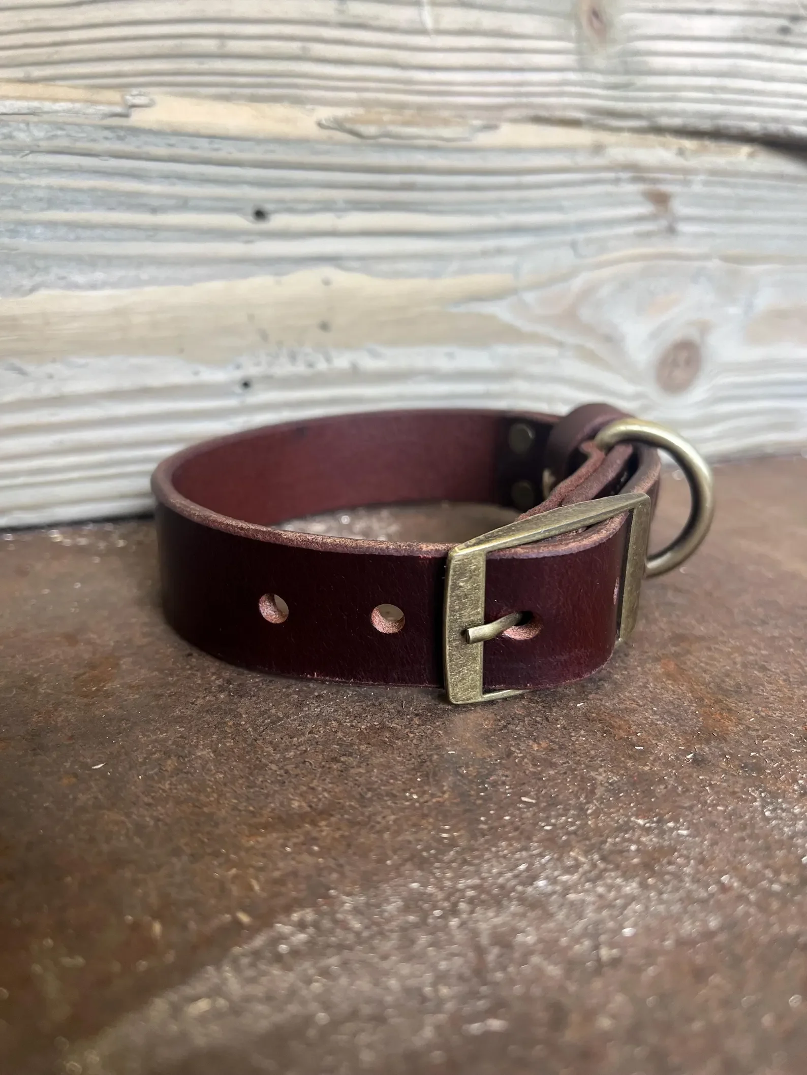 The Loyal Hound Collar