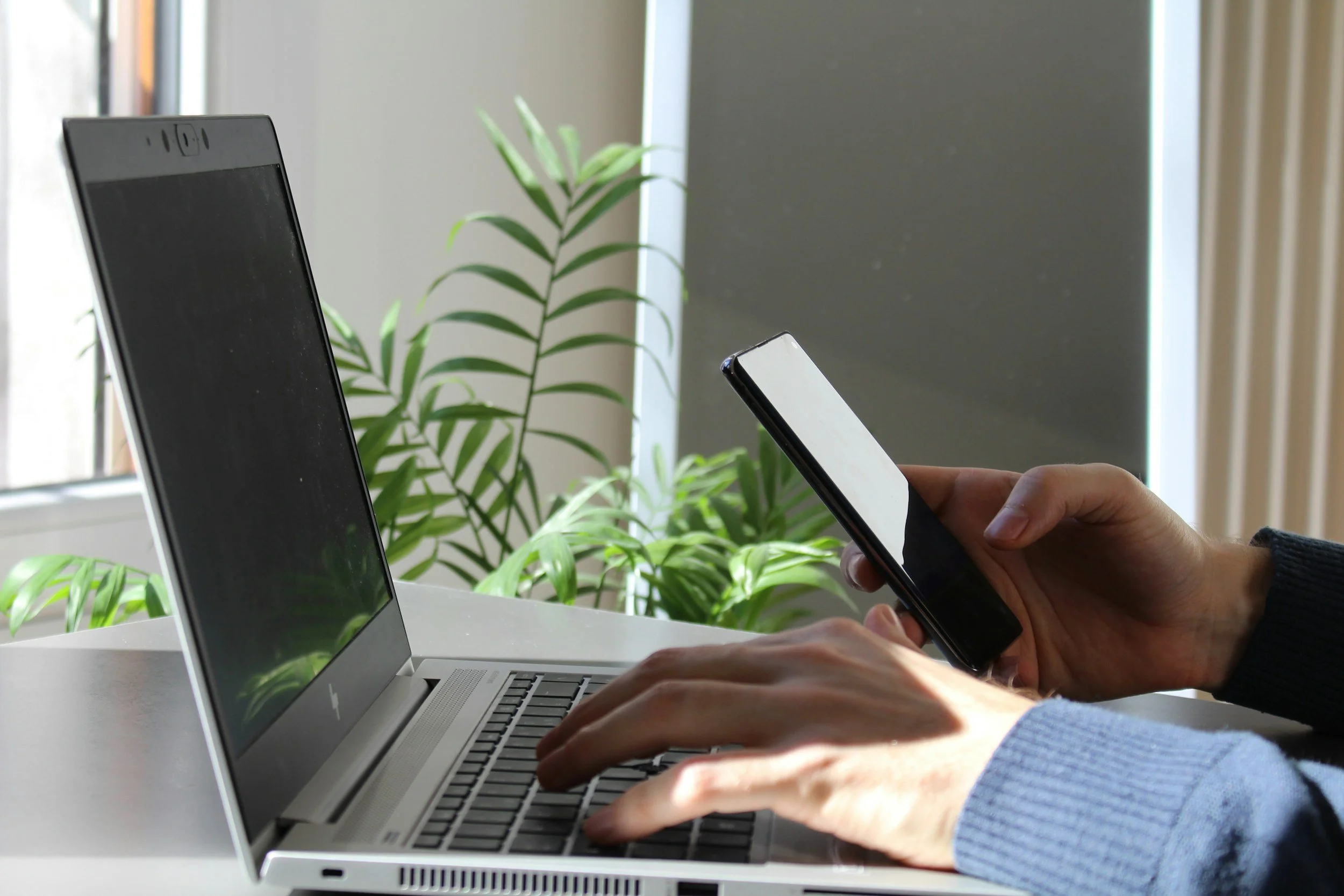 Person working on laptop and holding a smartphone, with green plants in the background near a window.