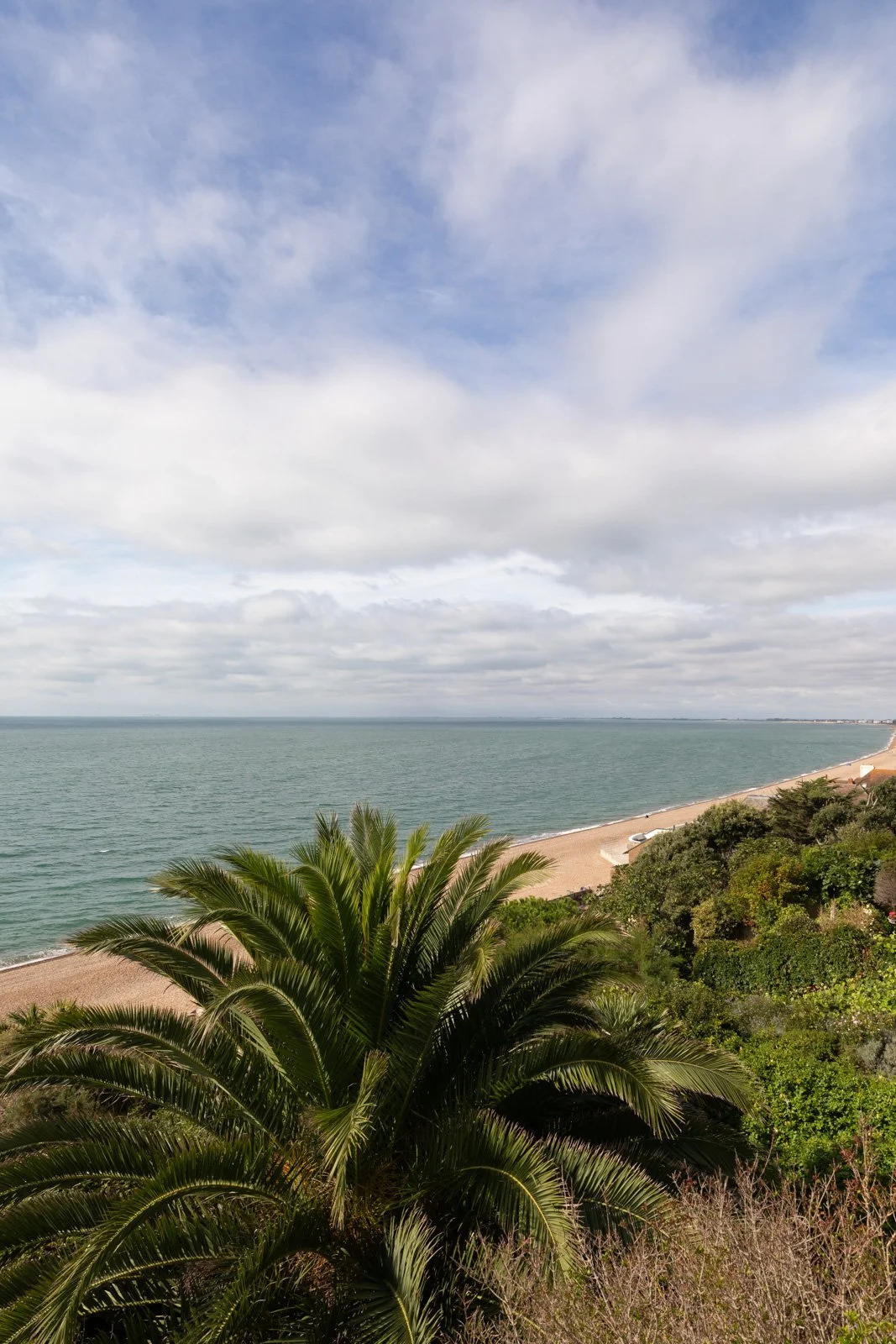 Beach with green palm trees in foreground, sandy shoreline, and sea under a partly cloudy sky.