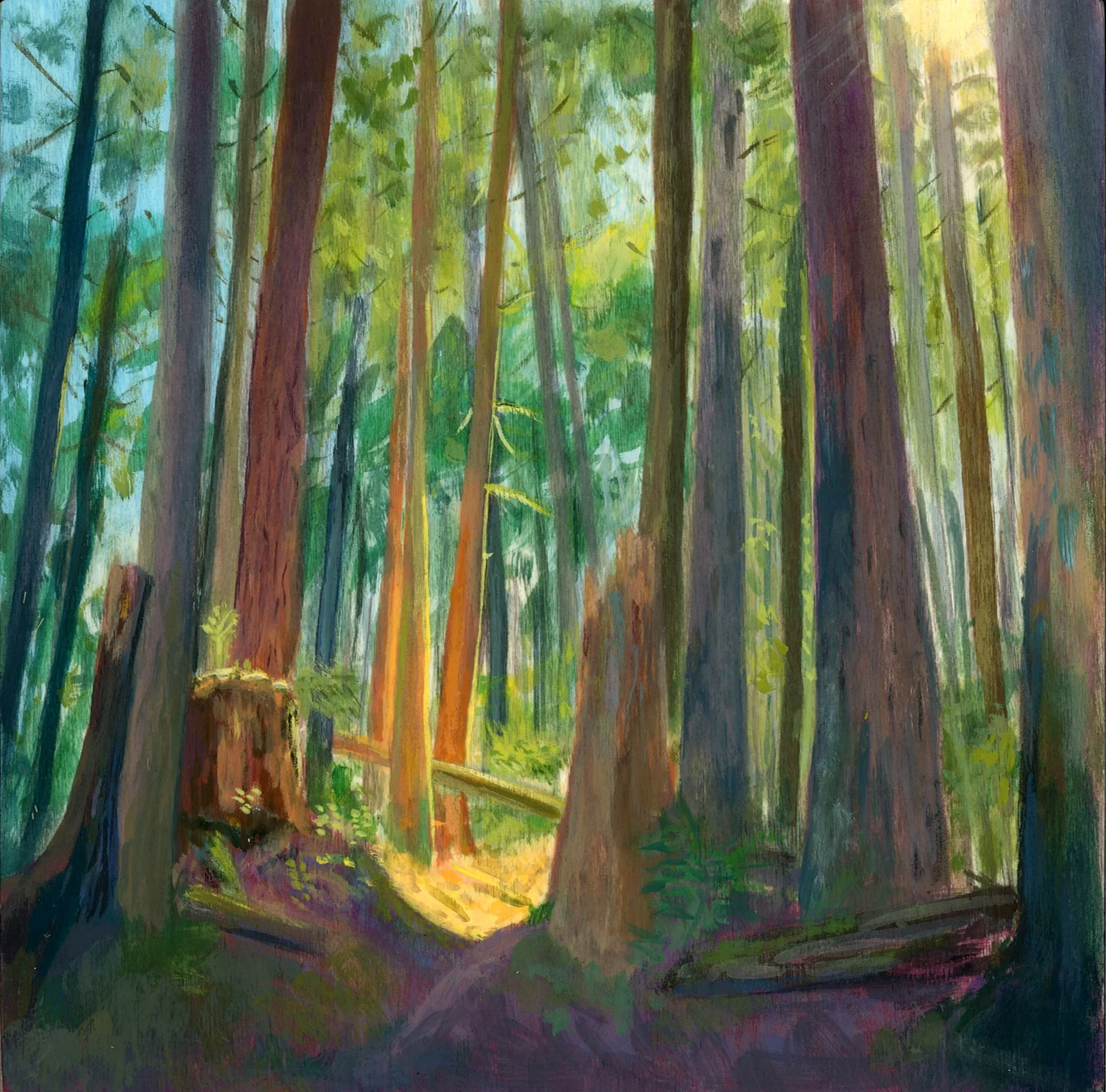 A colorful painting of a dense forest with tall trees and sunlight filtering through the leaves.