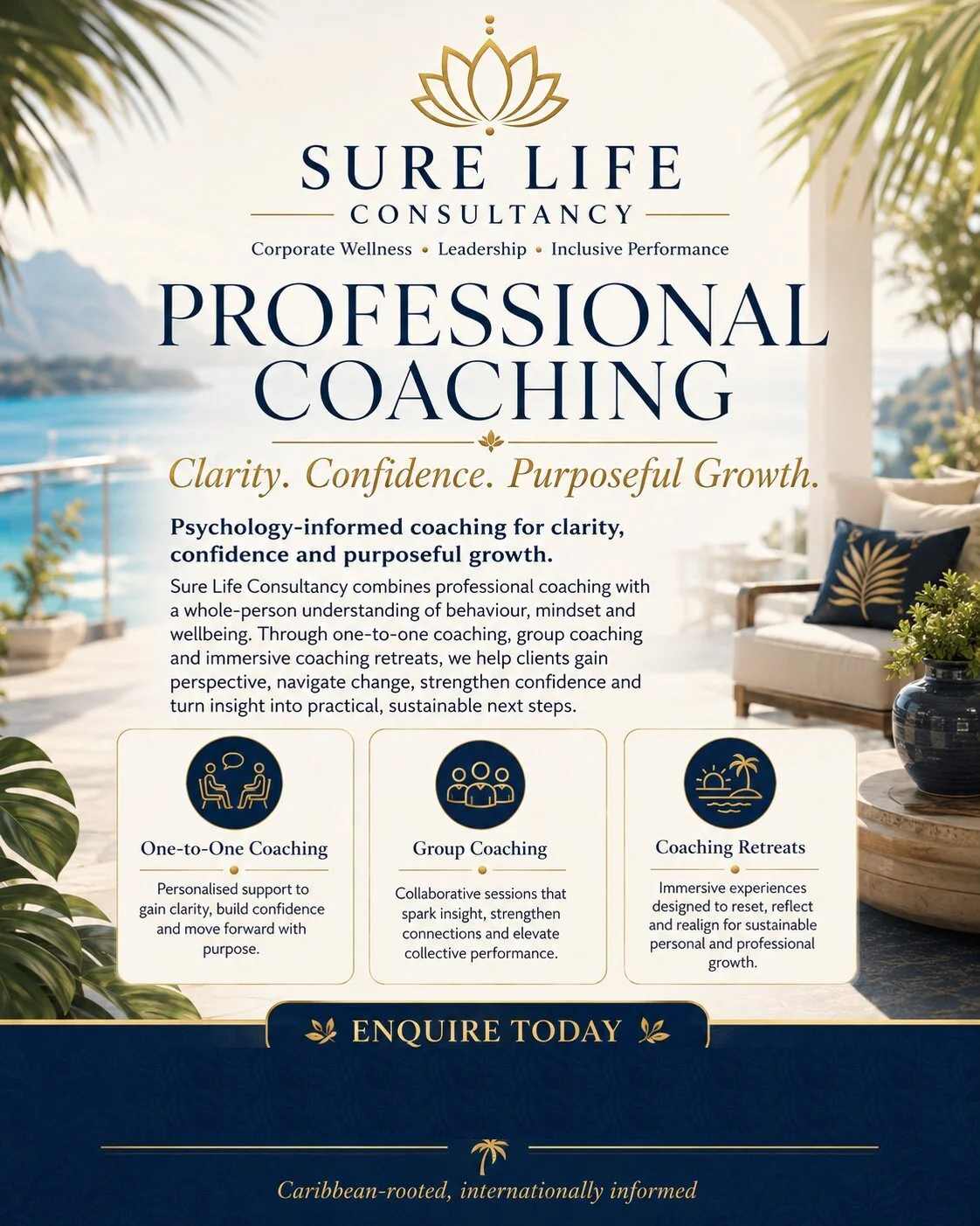 Professional Coaching