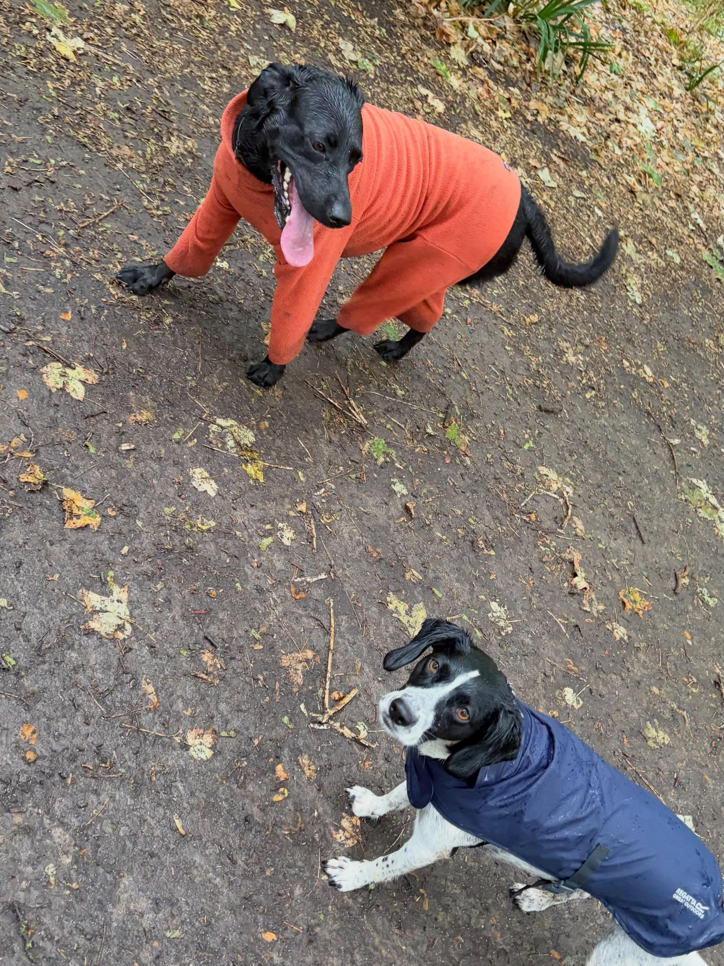 The absolute shock and disgust at needing a raincoat 😂 We are so ready for Autumn, maybe less of the torrential rain though 🫣