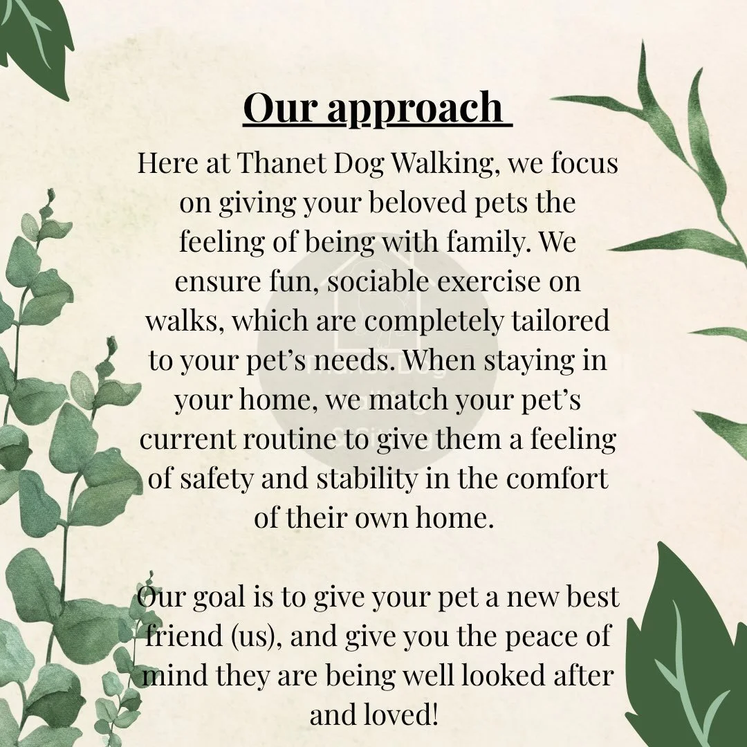 Welcome to Thanet Dog Walking 🐾 

A little intro to who we are and what we offer, a personalised and fun approach to pet care that you can rely on. For any further info or questions please get in touch via DM, messenger or phone/WhatsApp .

- Olivia