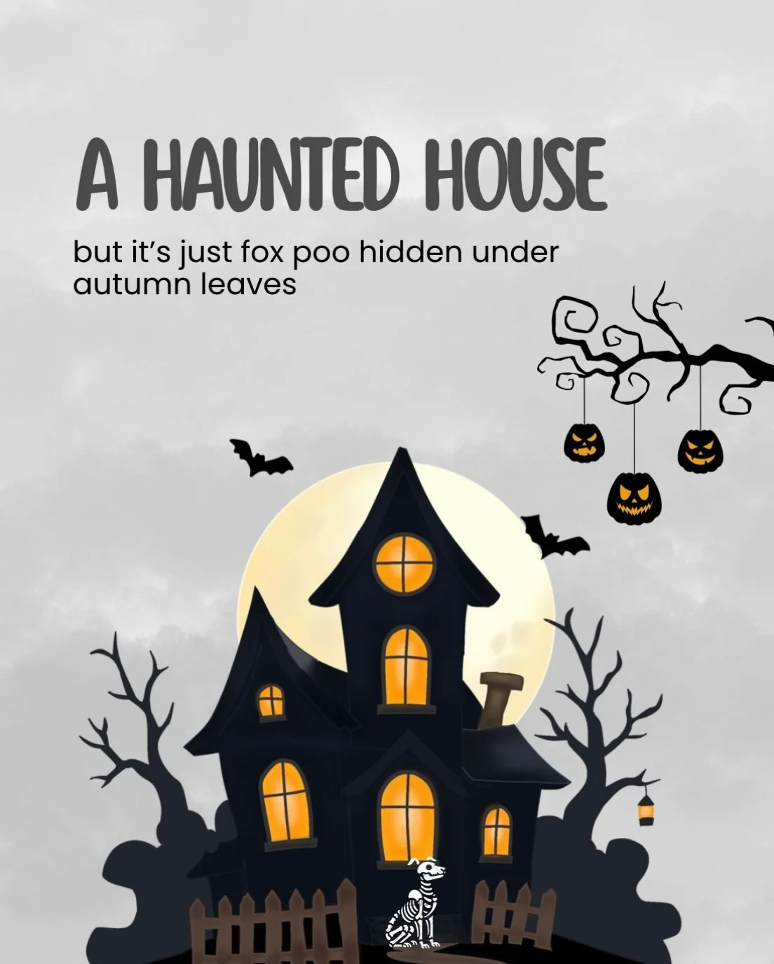 A real life horror story 😧

It&rsquo;s well and truly autumn now, and the park is basically a scare maze of hazards 💩 🍂

Why not let us navigate it for you, save your new winter boots from the mud and we&rsquo;ll brave the wet weather to give your
