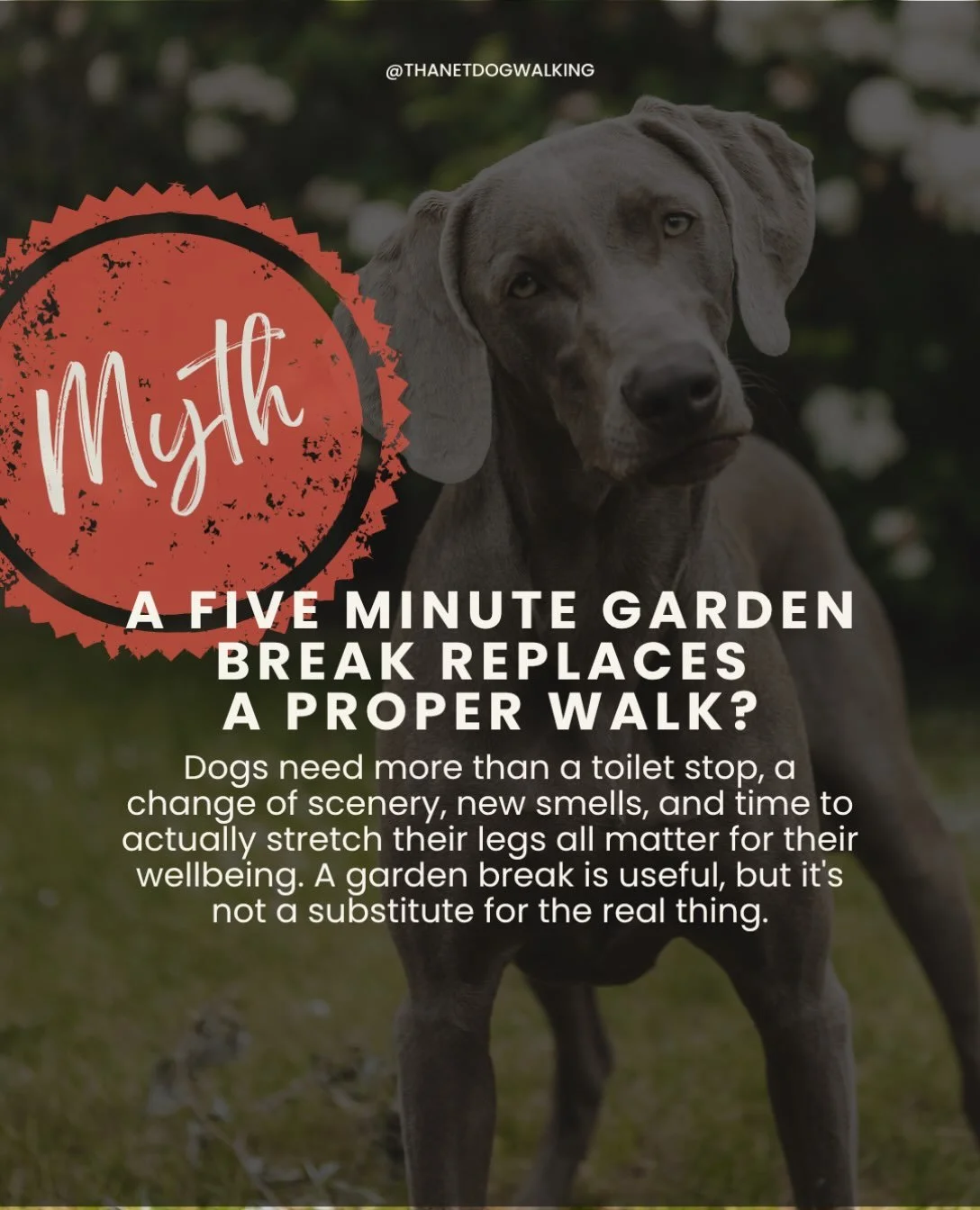 We all understand that life gets in the way. Last-minute plans can throw a spanner in the works and sometimes pet care can be another stressful addition to the to-do list!

That&rsquo;s why our team of reliable walkers are on hand to accommodate thos