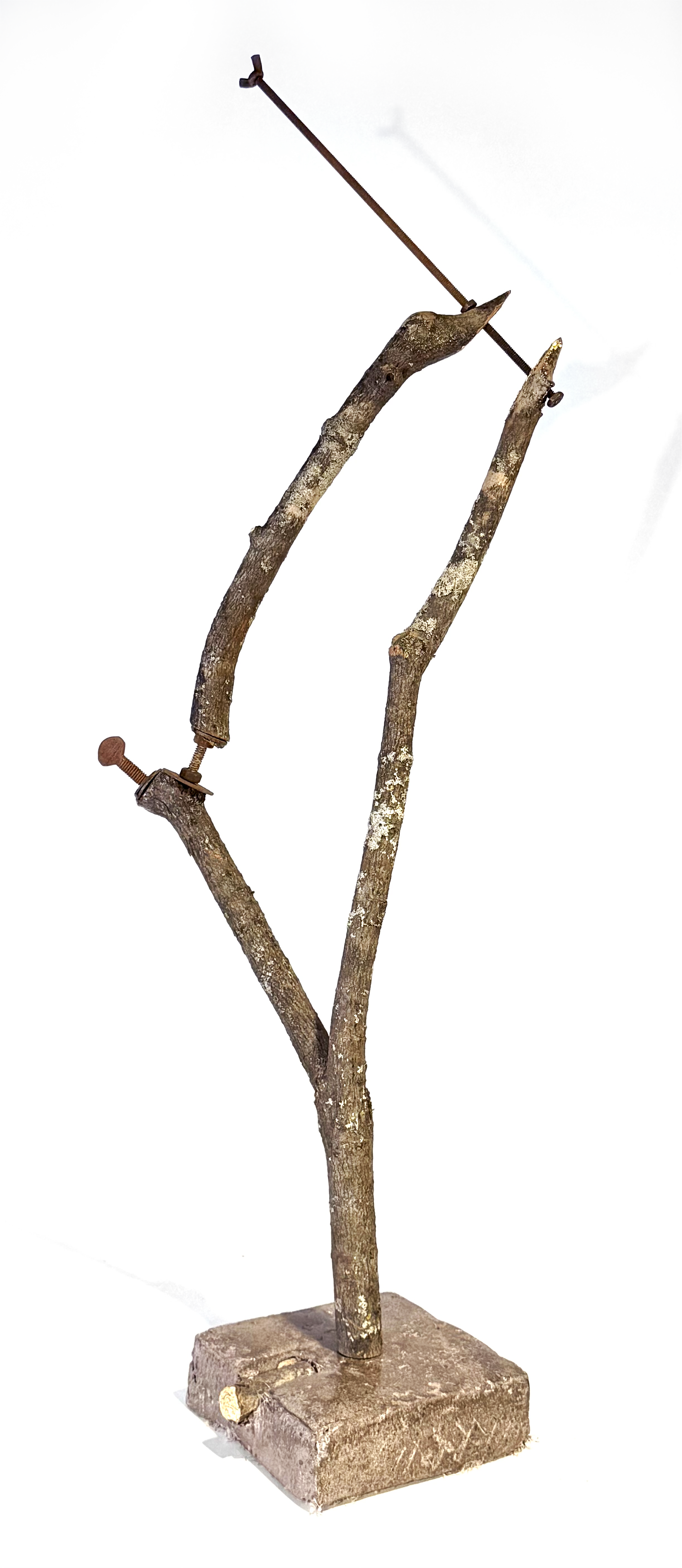 3.PNG