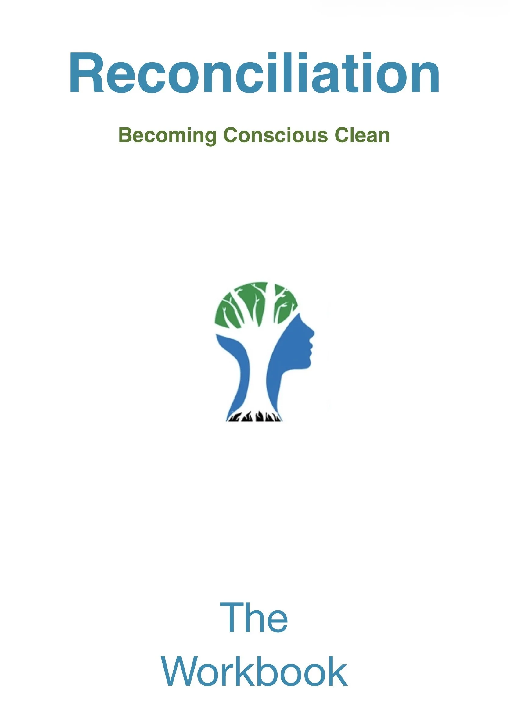 Reconciliation Workbook (IOS)