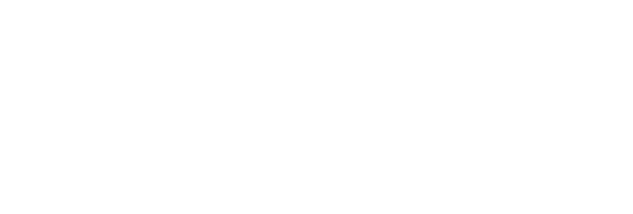 Black and white logo with the words "Minnesota" above "Bride" in large font, with a horizontal line separating them.