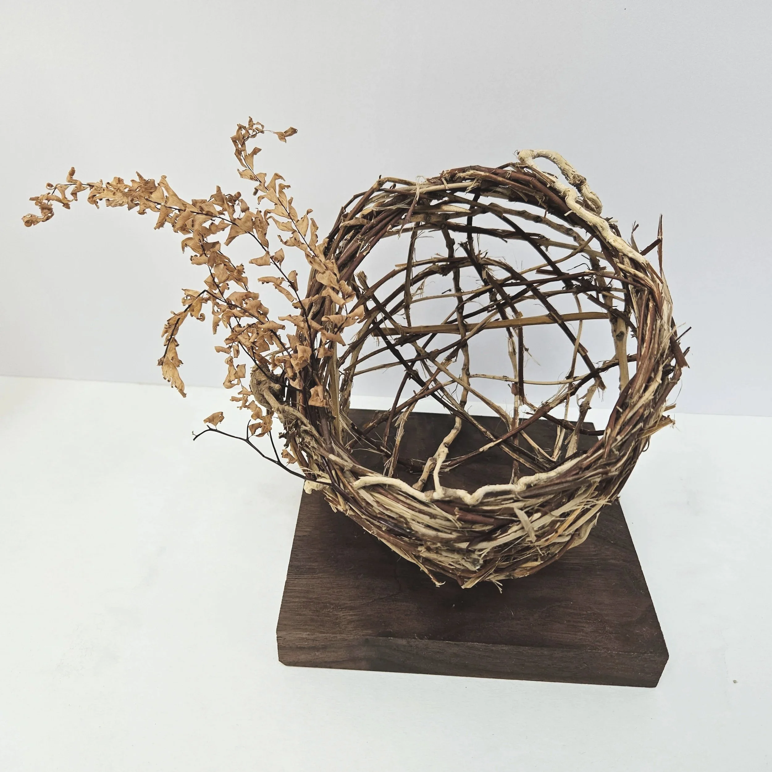 SHARON BURNHAM, 
"Shadow Lines", 
2025, 
Random weave with Japanese honeysuckle, palm inflorescence, spruce root, Northern maidenhair fern, 
6 x 8 x 5 inches on 3⁄4 x 5 x 5 inches wood base
(6 3⁄4 x 8 x 5 inches overall)