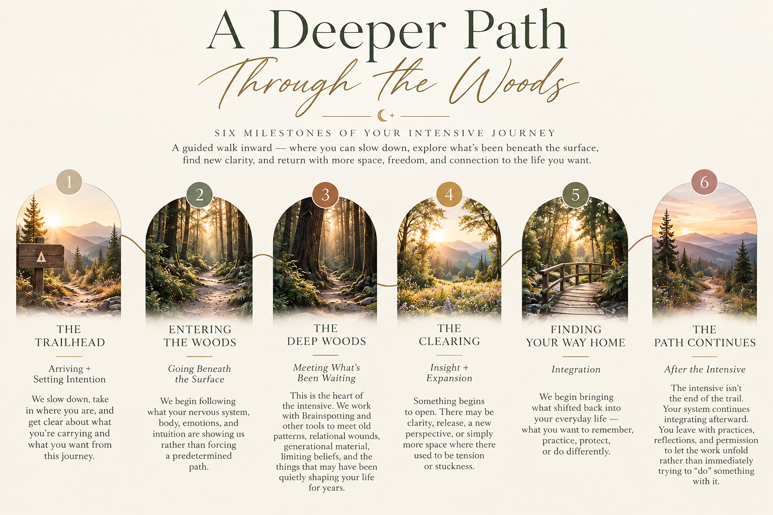 A flowchart with six stages illustrating a journey through a forest. Each stage has an image of a forest path or scenery with dark green and golden hues, and corresponding descriptive text underneath. The stages are numbered from 1 to 6 and include titles: 'The Trailhead,' 'Entering the Woods,' 'The Deep Woods,' 'The Clearing,' 'Finding Your Way Home,' and 'The Path Continues.'