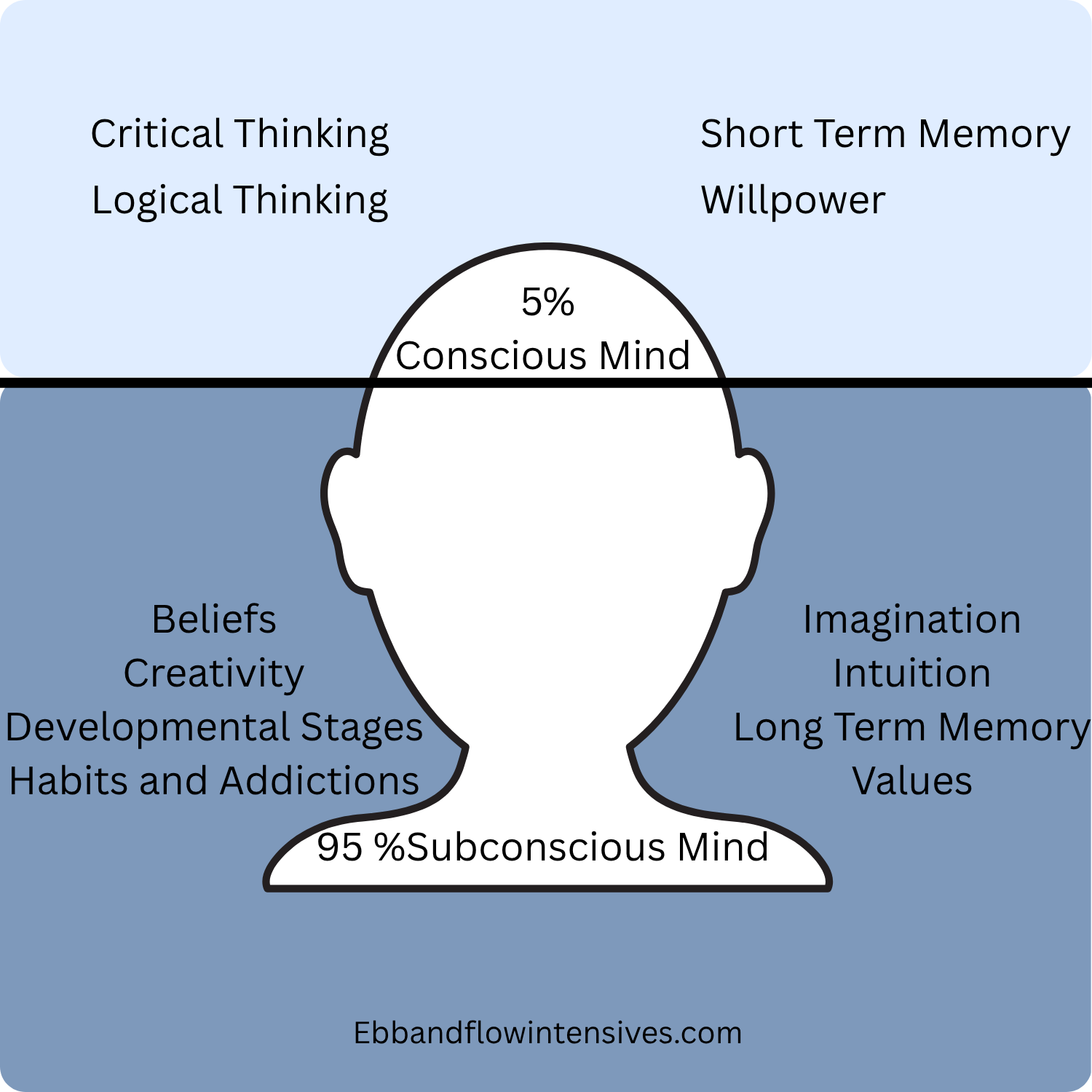 Diagram of the human mind showing conscious and subconscious levels. The conscious mind, 5%, includes critical thinking, logical thinking, short term memory, willpower. The subconscious mind, 95%, contains beliefs, creativity, developmental stages, habits, and addictions on the left, and imagination, intuition, long term memory, and values on the right. The source is ebandflowintensives.com.