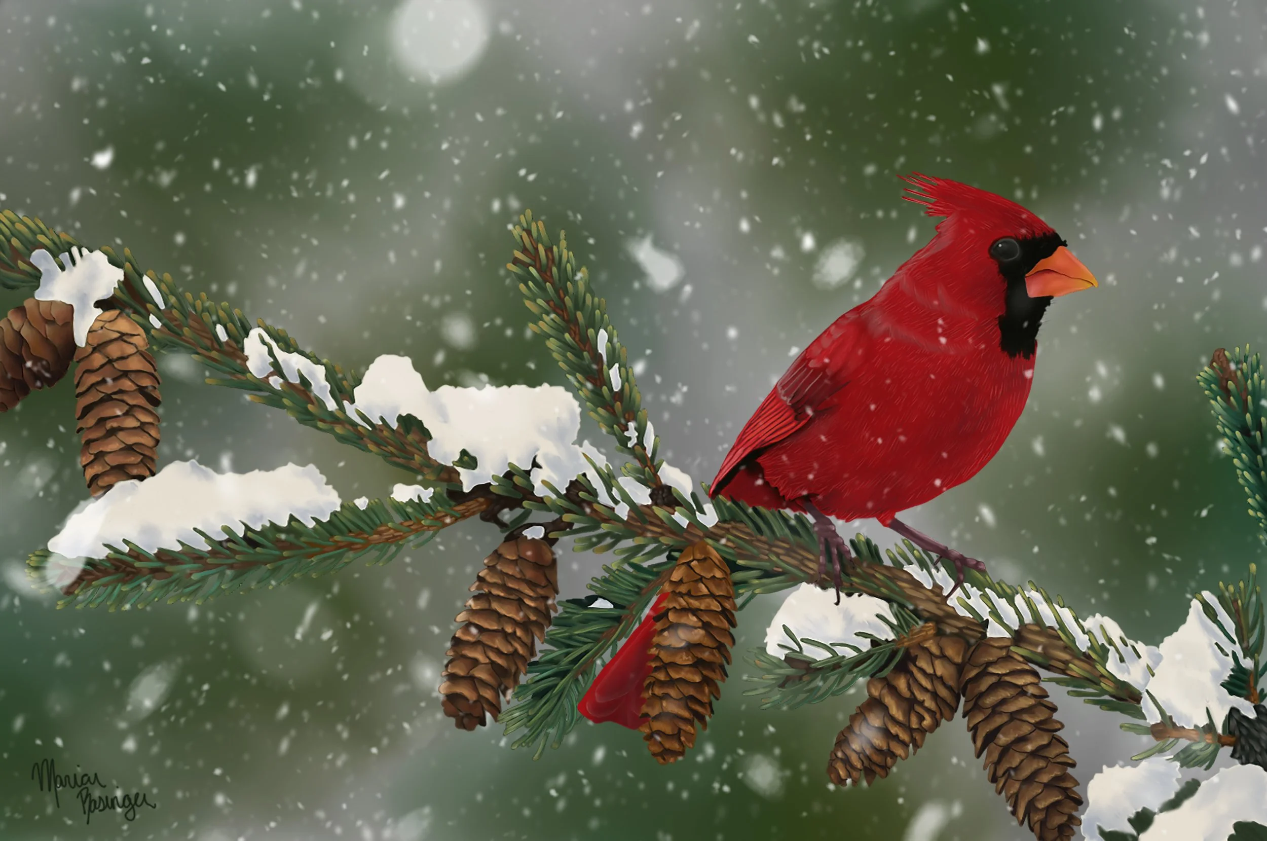 Cardinal in the Snow