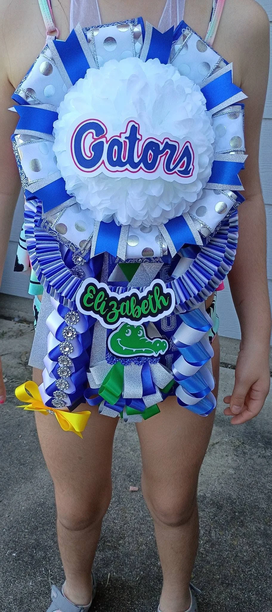 Person wearing a decorative sash with purple, green, blue, yellow ribbons, and a paper plate with the word 'Gators' and a crocodile cartoon, honoring Elizabeth.