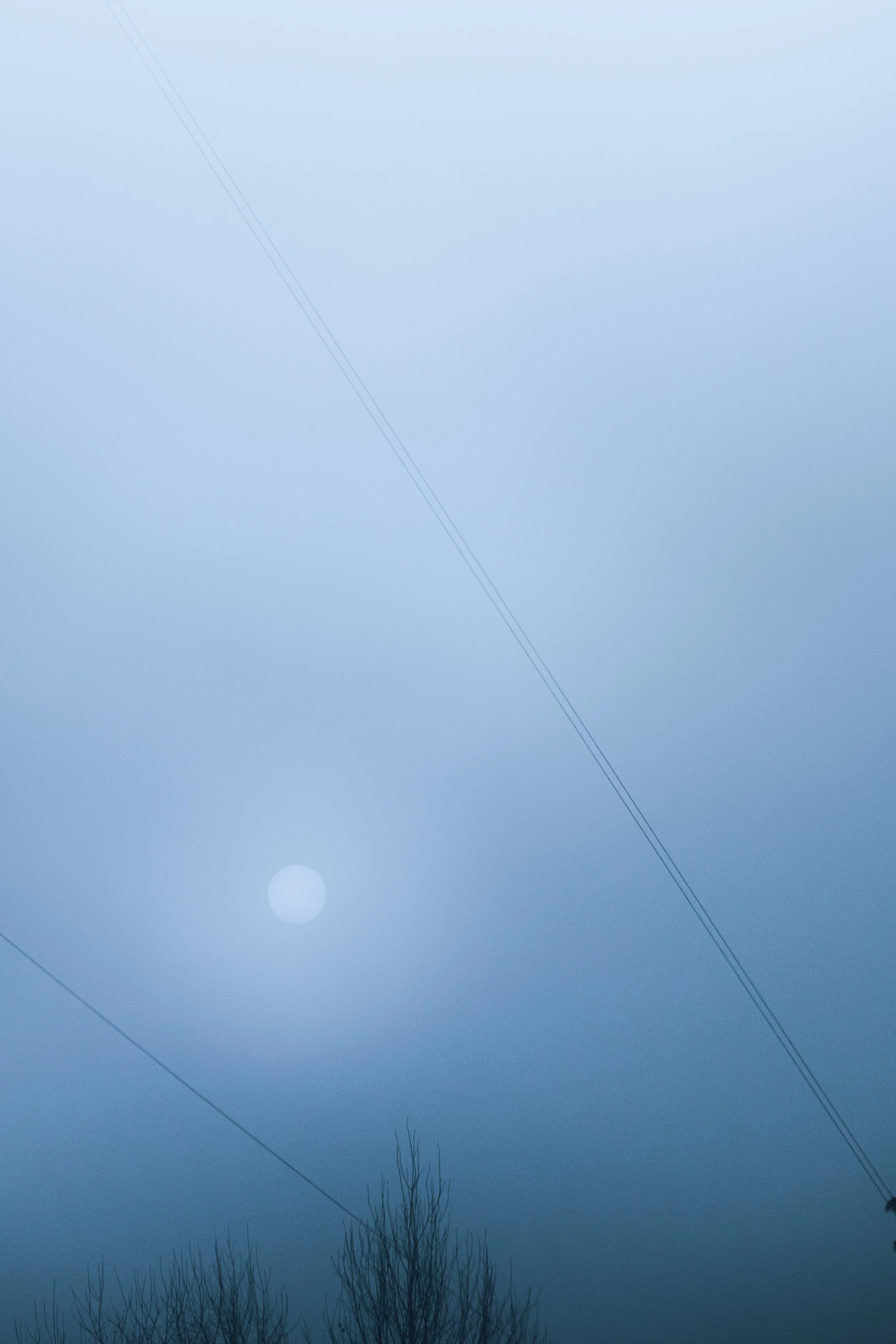 IMG_5949-Enhanced-NR.jpg