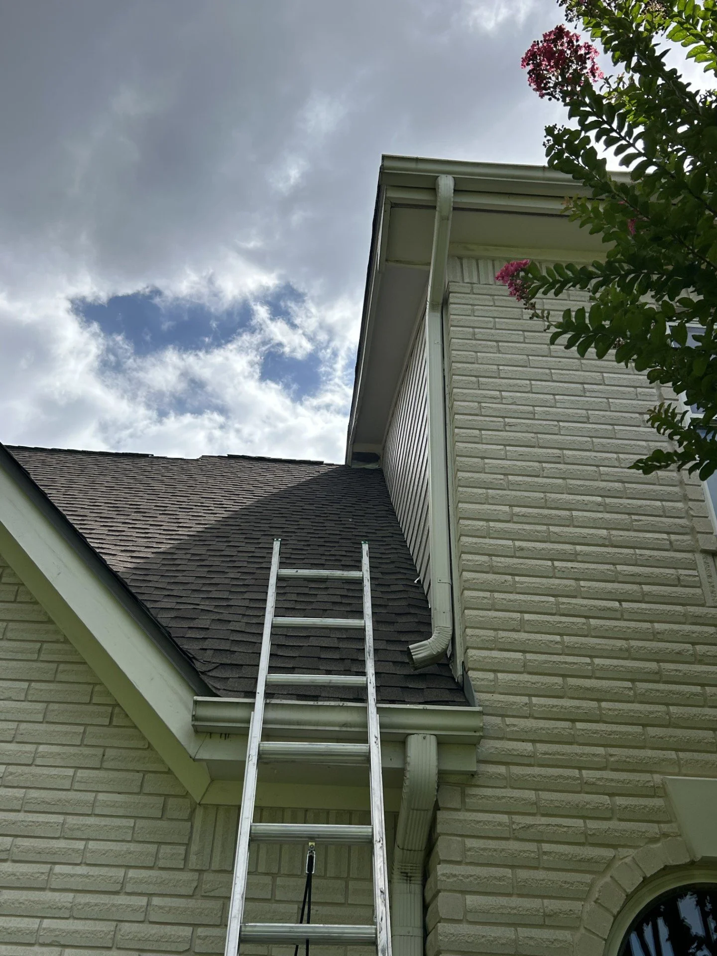 Sealed roof eave on a home after wildlife exclusion work