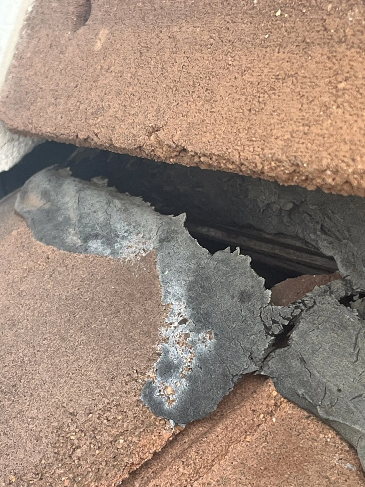 Animal entry hole in roof tile found during a wildlife inspection