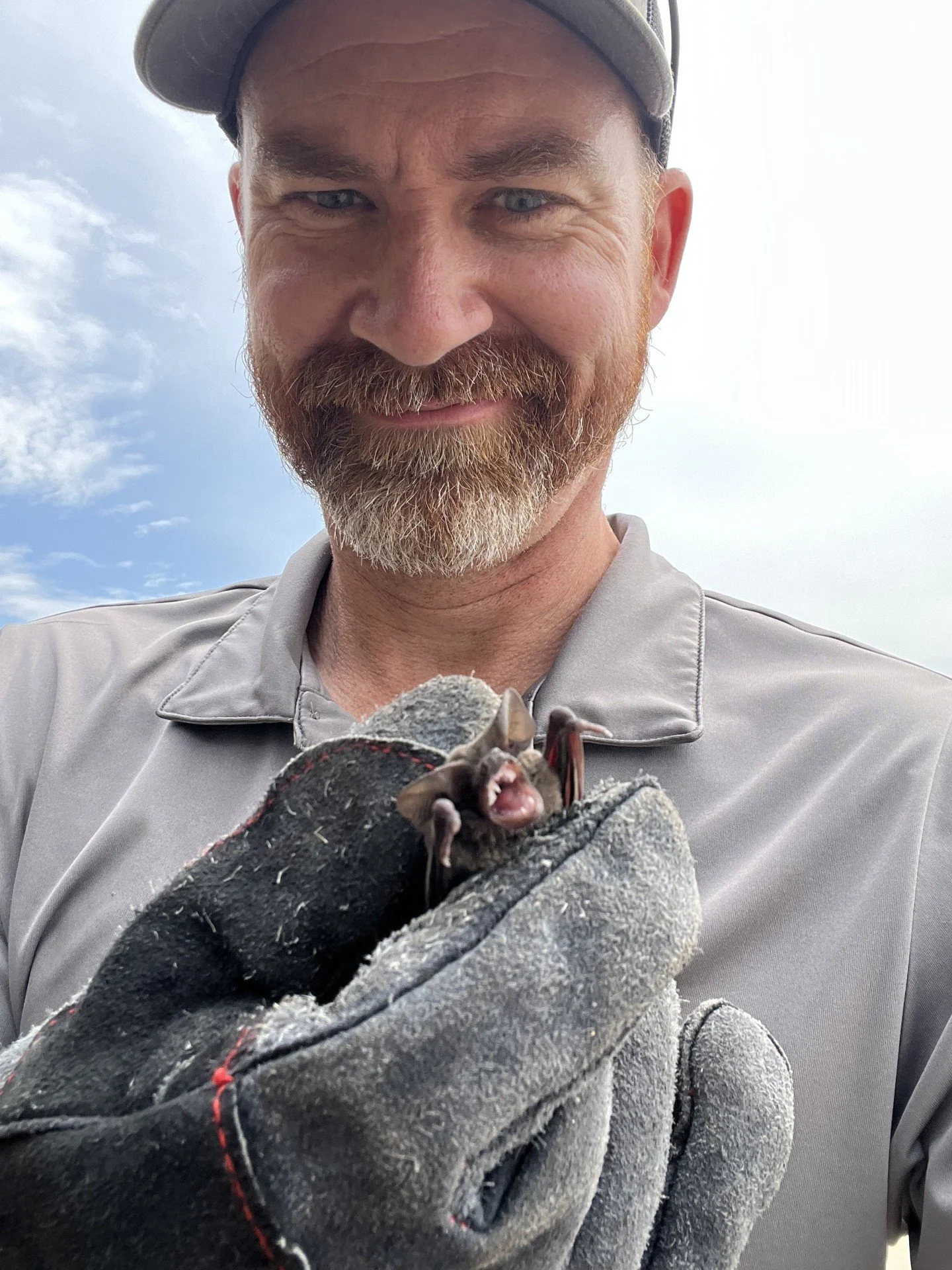 Matt, A-Pro Wildlife founder, holding a bat removed from a home