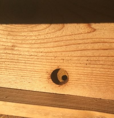 The Beehive