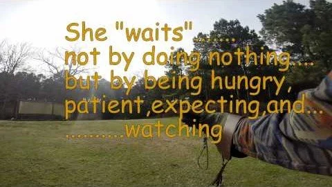 They that "wait" upon the Lord