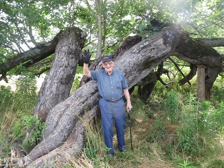 Wiley Ainsworth and the Mulberry Tree