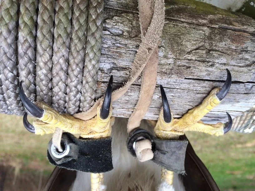 Are those "Claws" Sharp?