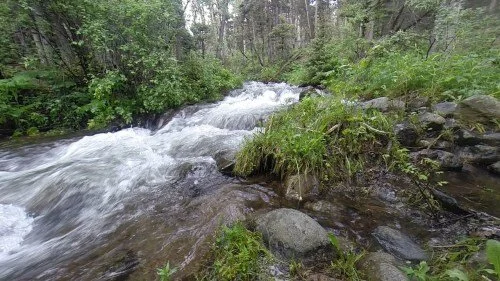 Join me (online) in a quiet time with God beside Horn Creek, Colorado