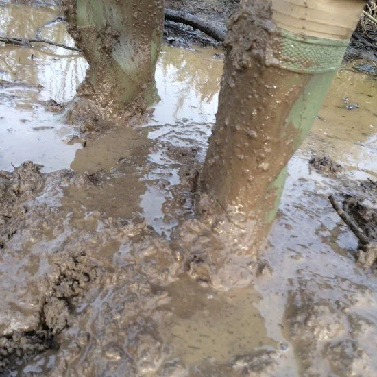 Do you feel you're stuck in the mud?