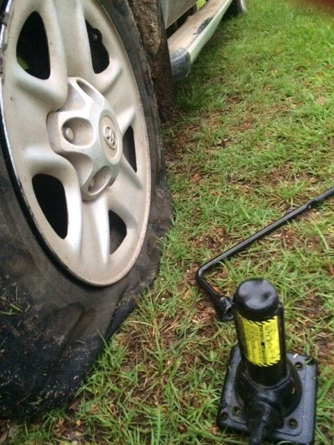 Just Another Bump in the Road