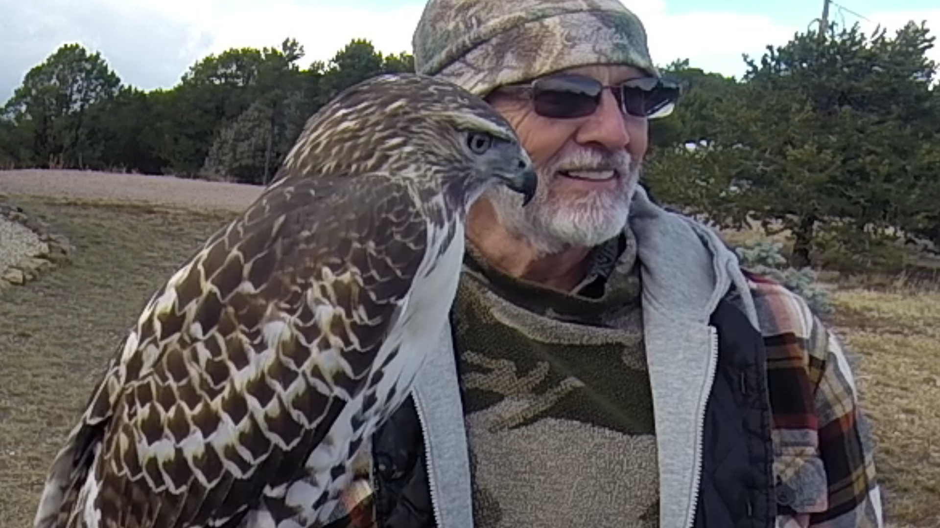 An elderly man with a beard wearing sunglasses, a camouflage hat, and a multicolored vest, is smiling and standing outdoors in a field with trees in the background. A hawk is perched on his shoulder.