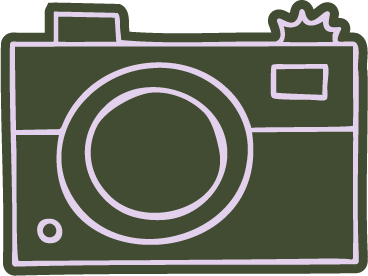 Forest green and lavender camera illustration