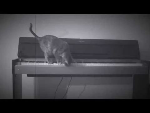 CRISPINA CAGE - Etude 2