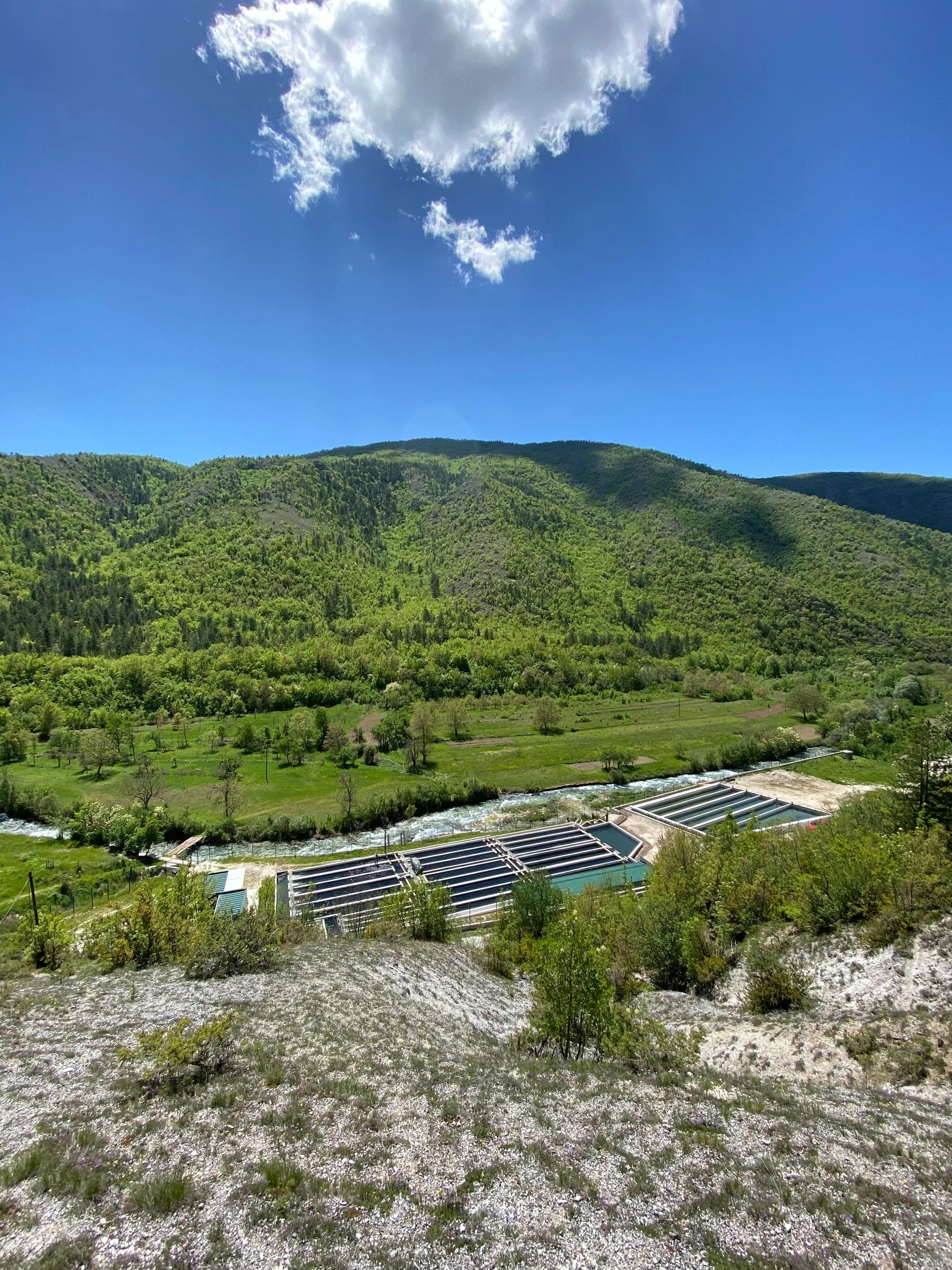 04-farm-hillside.jpg