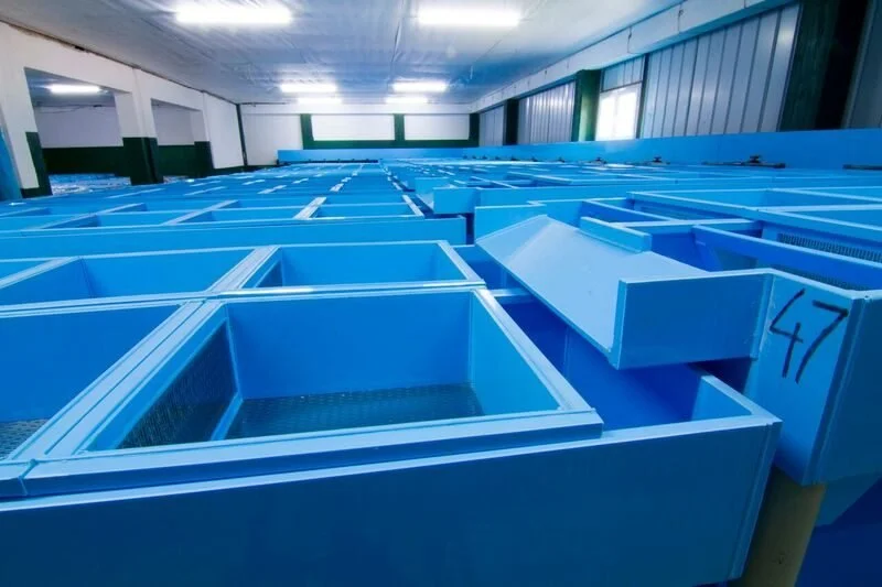 48-fry-tanks.jpg