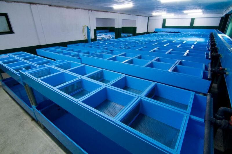47-hatchery-hall.jpg