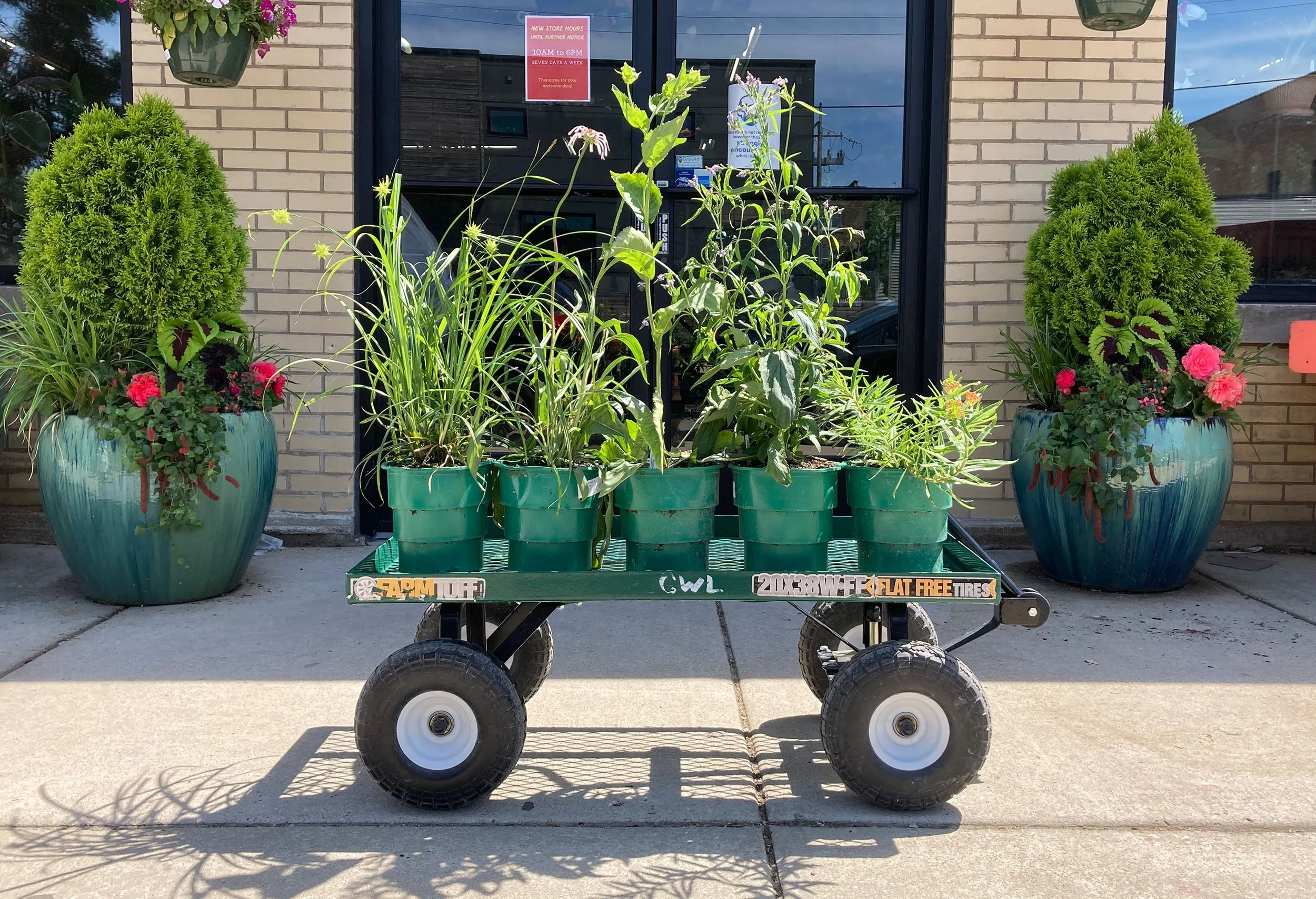 New Green Pots Made From Plants… Not Plastic