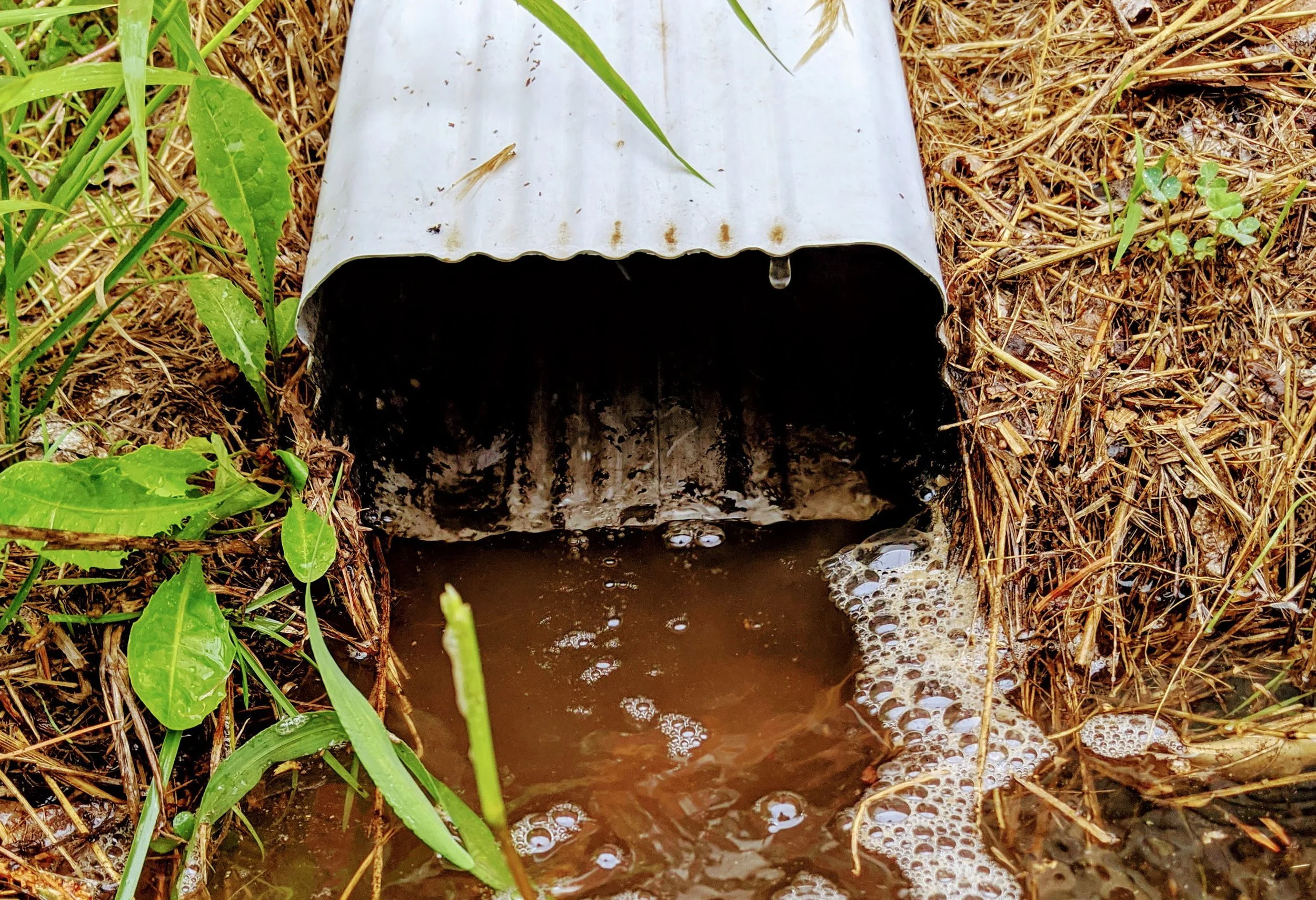 a downspout with water dribbling out of it